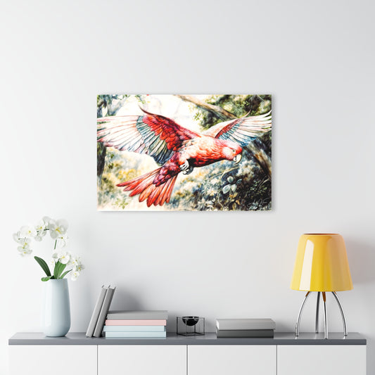 "Australian Galah", Fine Art Acrylic Wall Print (French Cleat Hanging)