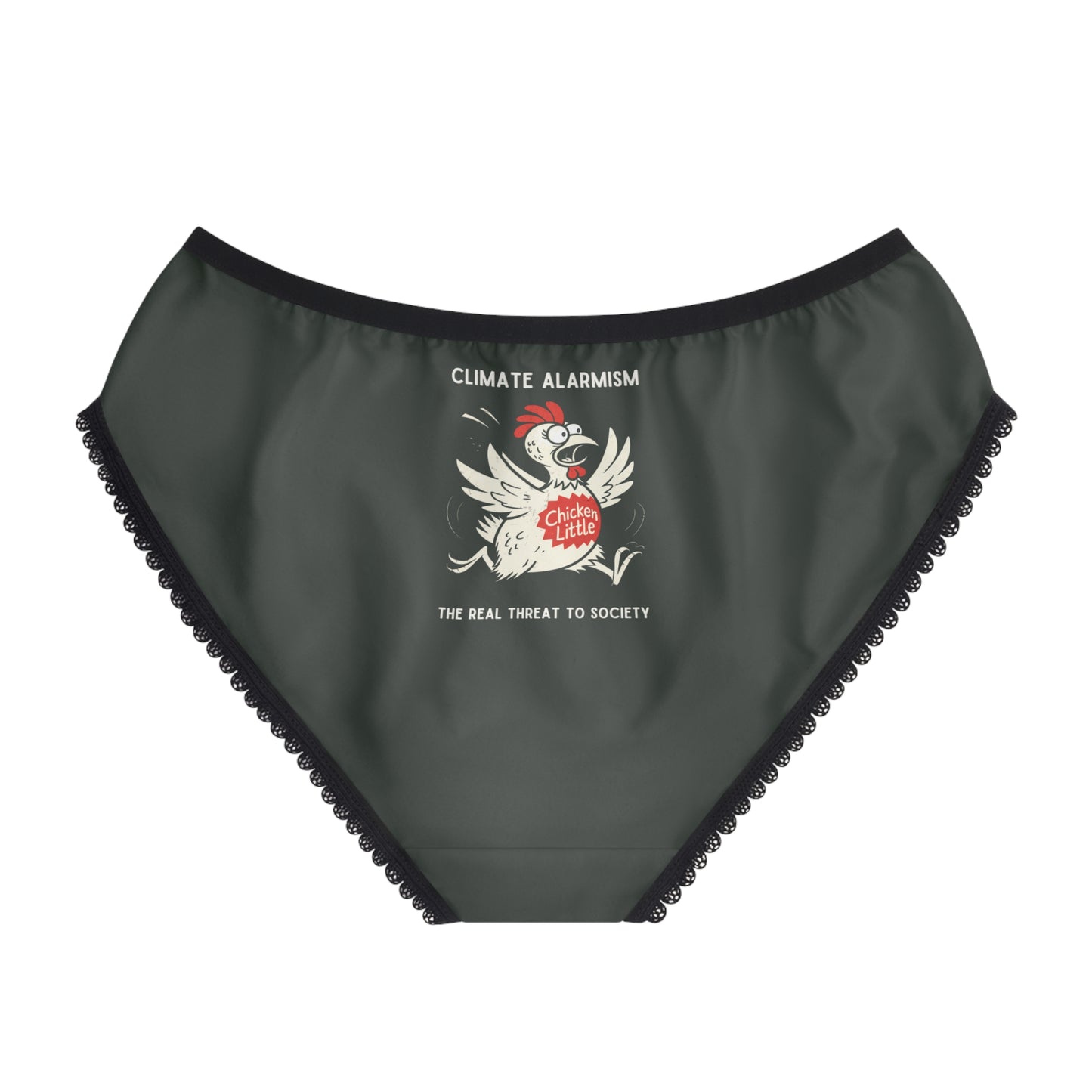 "Climate Alarmism - The Real Threat to Society" #22, Women's Briefs (Hail Cloud Grey)