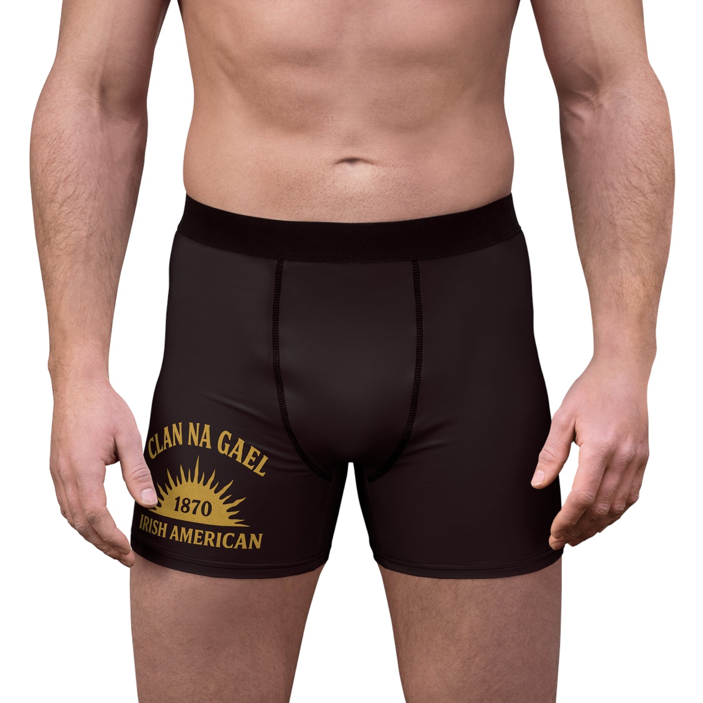 "Clan na Gael - Irish American", Men's Boxer Briefs (Seal Brown)