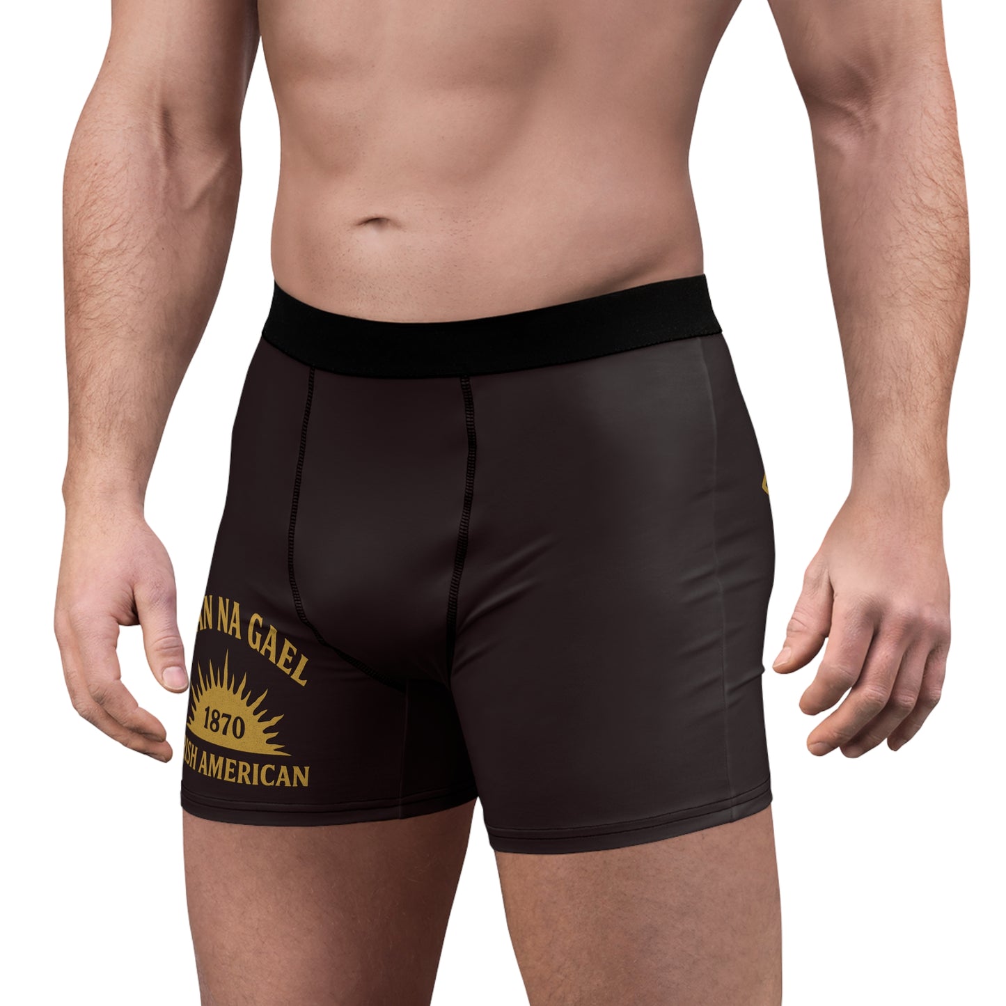 "Clan na Gael - Irish American", Men's Boxer Briefs (Seal Brown)