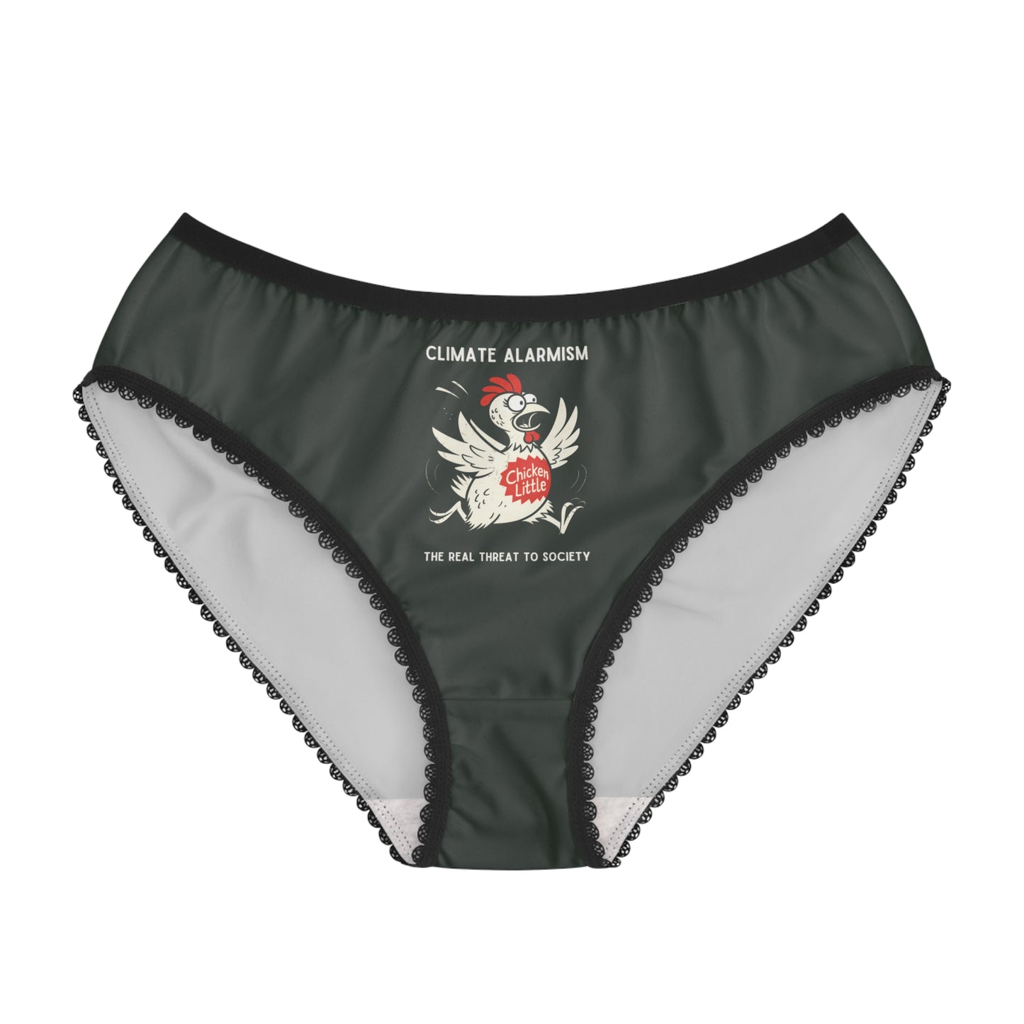 "Climate Alarmism - The Real Threat to Society" #22, Women's Briefs (Hail Cloud Grey)