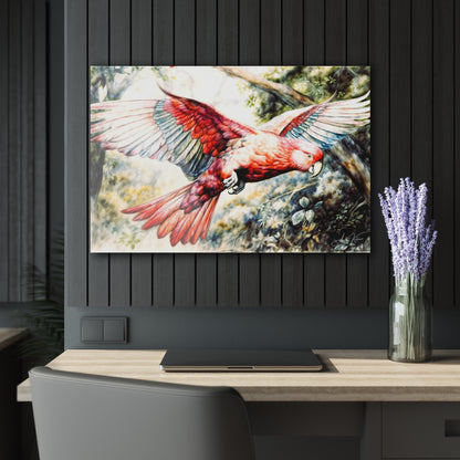 "Australian Galah", Fine Art Acrylic Wall Print (French Cleat Hanging)